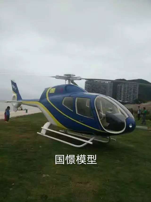 定襄县飞机模型